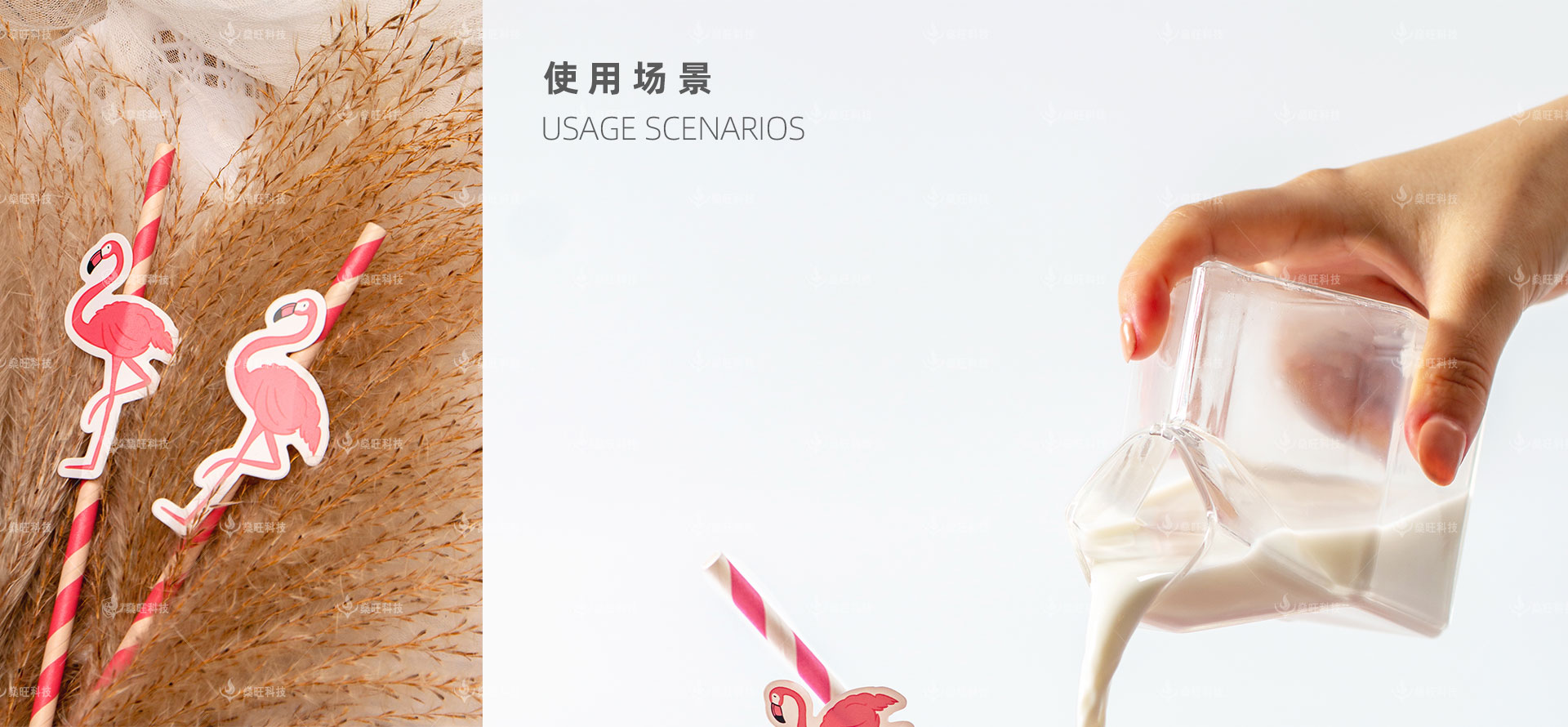 網(wǎng)站-2產(chǎn)品介紹-07彩色貼紙環(huán)?？ㄍㄎ躝11.jpg