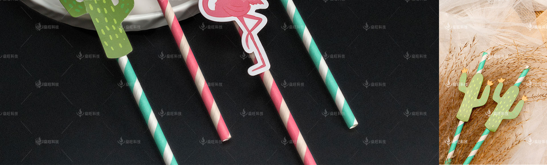 網(wǎng)站-2產(chǎn)品介紹-07彩色貼紙環(huán)保卡通吸管_14.jpg